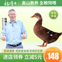 杨博士老鸭皖南农家散养鸭子老鸭土鸭现抓现杀新鲜鸭肉 1只鸭子