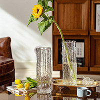 JUHAN 掬涵 花瓶摆件客厅插花玻璃透明轻奢高级感水养百合玫瑰水培鲜花专用高