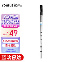 Romusic 哨笛爱尔兰D调六孔竖笛口笛成人学生初学专业演奏乐器 银色