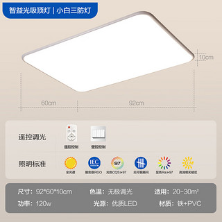 TCL 照明led吸顶灯高显色指数防蓝光客厅灯现代简约灯具套餐中山灯饰 白【高显护眼】120W无极92*60cm