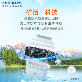 沁园（TRULIVA）加热饮水机益山泉家用台式富锶矿化速热免安装台式饮水机CR-O1040