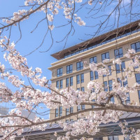 住祇园隔壁的赏樱胜地，出门就是鸭川！日本京都高濑川休雷克盖特酒店 双人床房-禁烟1晚套餐（含巧克力1份）