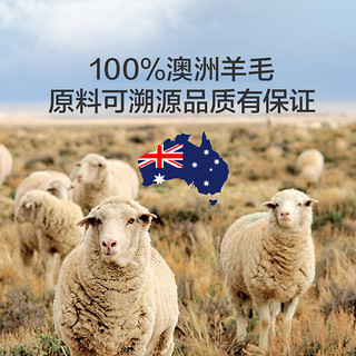 LUOLAI 罗莱家纺 秋冬被子被芯澳洲进口100%羊毛被加厚保暖透气冬季双人床