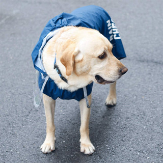 ISPET狗狗雨衣中大型犬宠物雨衣柴犬金毛拉布拉多柯基萨摩耶雨披 蓝色 L