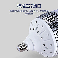 88VIP：SHUIYI 岁艺 LED节能灯泡大功率照明E27螺旋口球泡强光超亮家用庭院80W100瓦