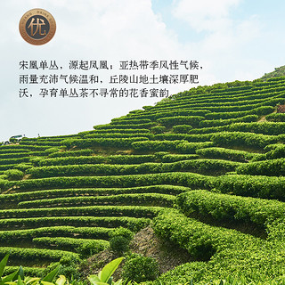 宋凰鸭屎香特级春凤凰单枞茶100g新茶乌龙茶高山单丛茶罐装