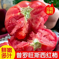 挽刻 现摘速发普罗旺斯西红柿陕西泾阳生吃沙瓤农家自种时令生鲜 普罗旺斯4.5斤