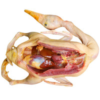 农家姑娘 番鸭老鸭子 红头鸭 一只装 新鲜速冻鸭子肉  农村放养土鸭子 2年红头鸭3斤左右