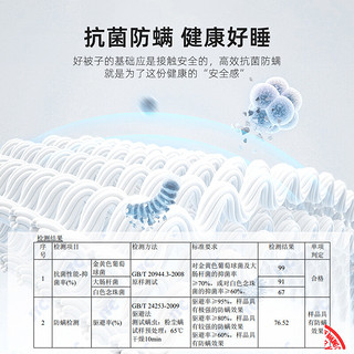 水星家纺星暖·臻彩澳洲羊毛抗菌四季被床上用品 星暖·臻彩澳洲羊毛抗菌四季被(静谧白) 150cm×210cm