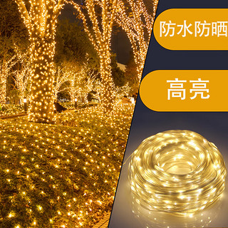 海德照明 HAIDE LIGHTINGled皮线灯 户外庭院防水装饰霓虹灯挂树灯串10m100灯 彩光