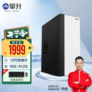 IPASON/攀升 i5-14400F 核芯显卡 16GB+512GB 台式机