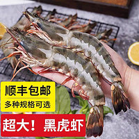 鲜闻果黑虎虾超大特大号大对虾虎头虾巨大号鬼虾特大红爪虾冷冻大老虎虾 一盒6只 500g 精选黑虎虾