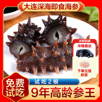 鸿禧海宴大连海参即食冷冻水产深海野生海生刺参鲜活速食非干货500g克 5斤 13-17只/1斤