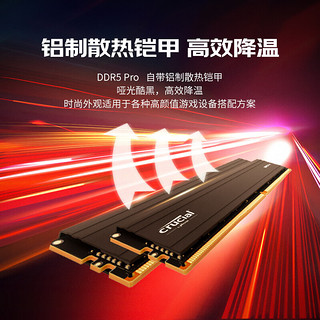 Crucial 英睿达 美光 32GB DDR5 5600频率 台式机内存条