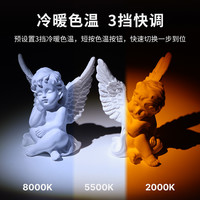 Ulanzi优篮子 LM07摄影手电筒补光灯双色温氛围灯光影人像打光拍摄投光灯户外露营照明拍照造影灯