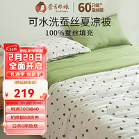 SILKUEEN 蚕花娘娘 史低价169到手一条可水洗蚕丝夏凉被,二色可选,都很好看