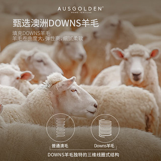 AUSGOLDENMIX A类澳洲进口羊毛被子100%纯羊毛 四季被 240*220cm