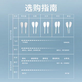 LI-NING 李宁 羽毛球G系列鹅毛羽毛球12只装G100/G300/G500室内专业比赛训练球 G100 (A+30E) 76速 1筒 —经济耐打 F