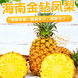 zirandadang 自然搭档 海南金钻凤梨 新鲜热带水果 4.5-5斤（2-3个）