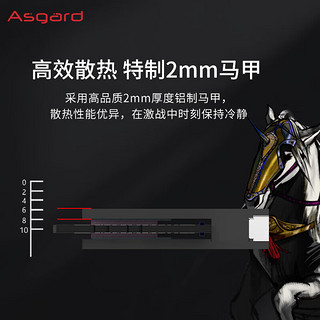 阿斯加特32GB(16Gx2)套条 DDR5 6400 台式机内存条 RGB灯条-女武神·瓦尔基里 台式机电竞内存条 TUF联名 D5 16G*2 6800 C34