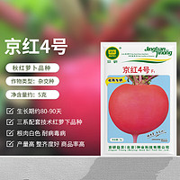 BARSI 京农研 萝卜种子京研胡萝卜水果樱桃萝卜蔬菜种籽孑 京红4号 5克