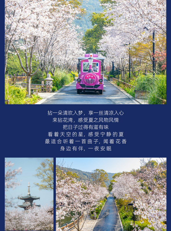 3月出游囤,赏樱早鸟票!拈花湾春季大门票