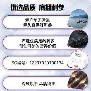 【礼盒】赵家淡干海参大连底播刺参100g海鲜水产发后即食