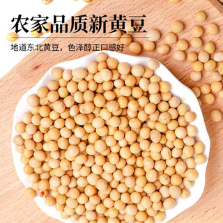 RICE PAPA FARM 米爷农场 独立小包装 东北黄豆 500g
