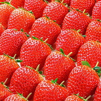 碧琢红颜99草莓新鲜水果整箱2.5斤拍2合1箱5斤 单果20-30克 精选奶油红颜草莓 净重2.3斤 需拍2份  单果25-35 2.5 斤彩箱装