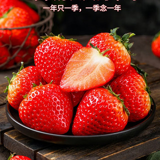 少羽 现摘现发 丹东红颜99 草莓25-40G