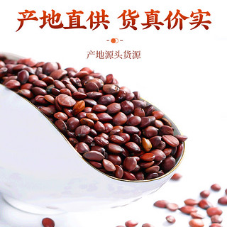 同芙 炒熟酸枣仁粉100g养生睡眠茶中药材原料 【种植】炒酸枣仁粉100g