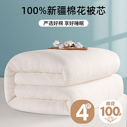 OBXO 源生活 100%新疆棉花被 春秋四季被子4斤 150*200cm