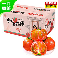 京百味 密云铁皮西红柿草莓番茄4.5斤礼盒 生鲜新鲜蔬菜 源头直发