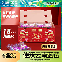 JOYVIO 佳沃 云南当季蓝莓大果18mm+ 6盒装 约125g/盒