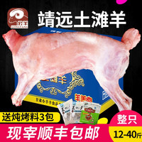 公羊整只靖远新鲜羊羔肉羊肉甘肃宁夏滩羊肉内蒙古现杀烤全羊整只 15斤整只土滩羊--现宰