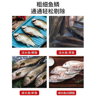 拜杰电动刮鱼鳞杀鱼全自动鱼鳞刨刮器防水鱼鳞机刮鳞器 无线充电款+1个电池装