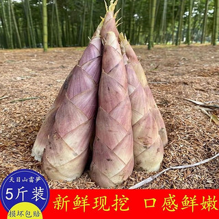 lvxiansen 绿鲜森 临安天目山春笋新鲜大笋雷笋现挖竹笋蔬菜生鲜 1.5kg 装(单支2两起）