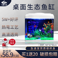 SEA STAR生态海 星小鱼缸客厅小型水族箱创意迷你玻璃家用懒人造景LED灯 500F标配(带20件套)