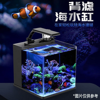 背滤过滤卧室客厅家用淡海水通用玻璃鱼缸珊瑚小丑鱼水族箱30cm