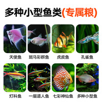 鱼食天使鱼七彩鱼孔雀鱼神仙鱼小颗粒小型鱼热带观赏鱼饲料