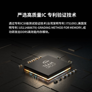 Team 十铨 XTREEM DDR5 8200MHz 台式机内存 马甲条 黑色 48GB 24GBx2 C38