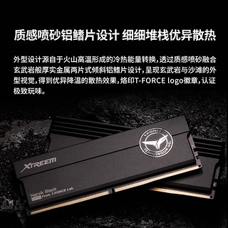 Team 十铨 XTREEM DDR5 8200MHz 台式机内存 马甲条 黑色 48GB 24GBx2 C38