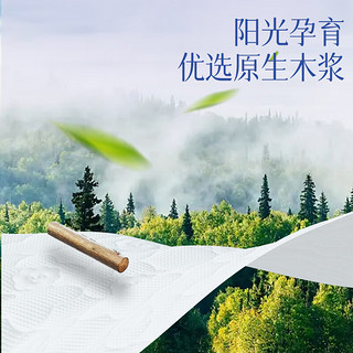 Lam Pure 蓝漂 悬挂式抽取卫生纸家用纸巾厕所家用抽纸DS 1000张*3提