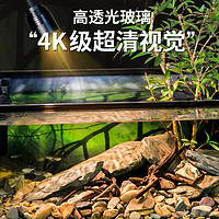 宏雨 桌面玻璃鱼缸南美背景溪流造景底部排水鱼龟共养生态养殖缸乌龟缸