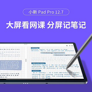 联想小新Pad Pro 12.7英寸 影音娱乐 办公学习 游戏平板 8+128WIFI灰钢化膜+保护夹套装 鸽子灰