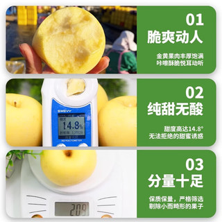 四叔公果蔬 山东维纳斯黄金苹果 苹果水果 威海荣成富黄金士奶油黄胖子黄苹果  大果