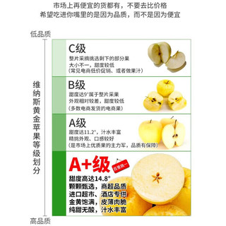四叔公果蔬 山东维纳斯黄金苹果 苹果水果 威海荣成富黄金士奶油黄胖子黄苹果  大果