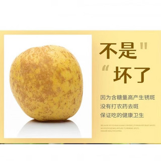 四叔公果蔬 山东维纳斯黄金苹果 苹果水果 威海荣成富黄金士奶油黄胖子黄苹果  大果