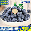 高端L25品种 纯甜蓝莓 精品新鲜蓝莓2盒 125G/盒 特大果15MM+单果