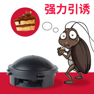 KOOGIS蟑螂药全窝端蟑螂屋杀蟑胶饵家用非无毒除灭杀蟑小强克星 【蟑螂药全窝端】6枚